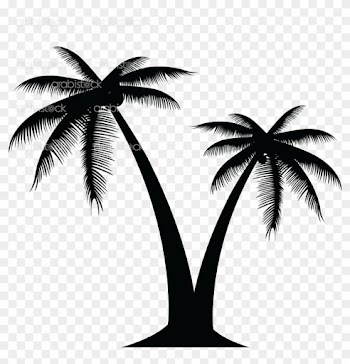 Palm Tree - Transparent Background Palm Tree Png