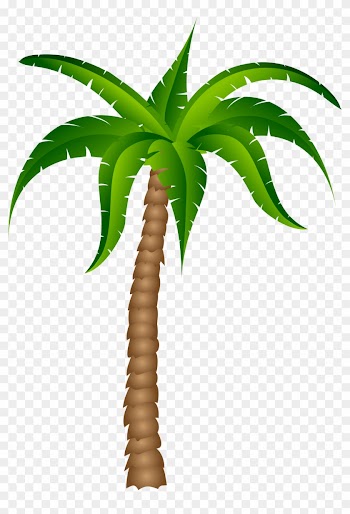 Palm Tree Transparent Pictureu200b Gallery Yopriceville - Palm Tree Transparent Background
