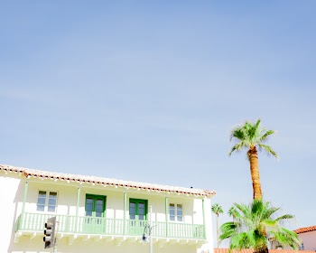 Palm Tree Under Blue Sky
