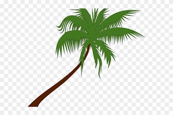 Palm Tree Vector Art - Coconut Tree Clip Arts
