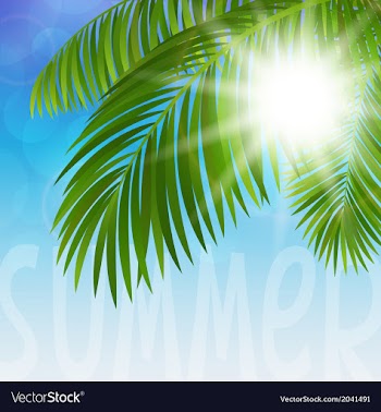  					Palm tree vector image														