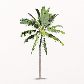 Palm tree watercolor illustration isolated | Free PSD - rawpixel