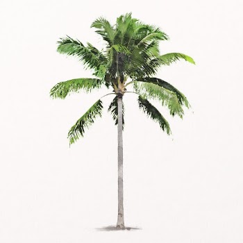 Palm tree watercolor illustration isolated | Free PSD - rawpixel