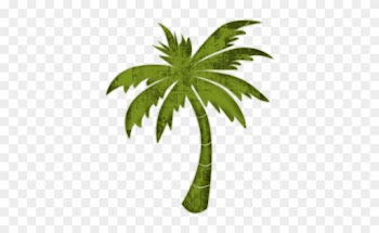 Palm Trees