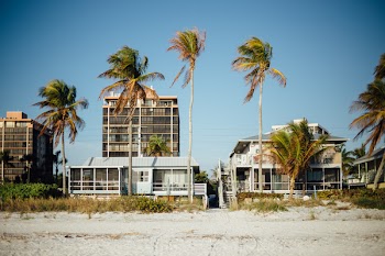 Palm Trees and Buildings Under Blue Sky during Daytime