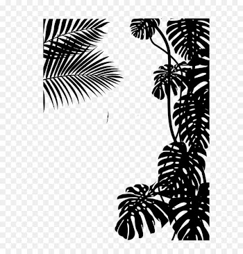 Palm Trees, Black White M, Pine, Tree, Blackandwhite PNG