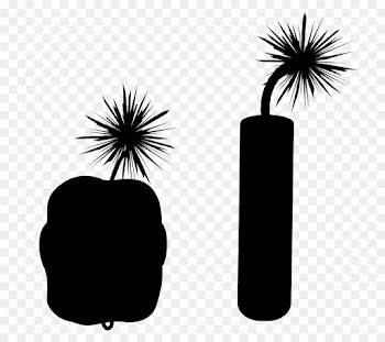 Palm Trees, Black White M, Plant, Tree PNG