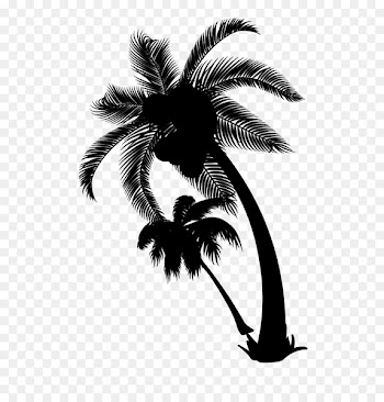 Palm trees Clip art Coconut AV's Cottage Photo Wave -  