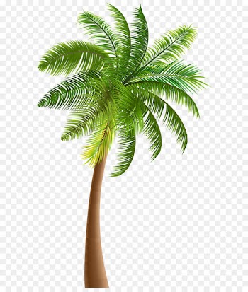 Palm trees Clip art - Palm PNG Clip Art 