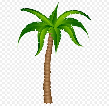 Palm trees Clip art - Palm Tree Transparent Picture 