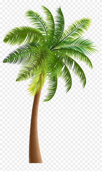 Palm Trees Clip Art - Palm Trees Clip Art