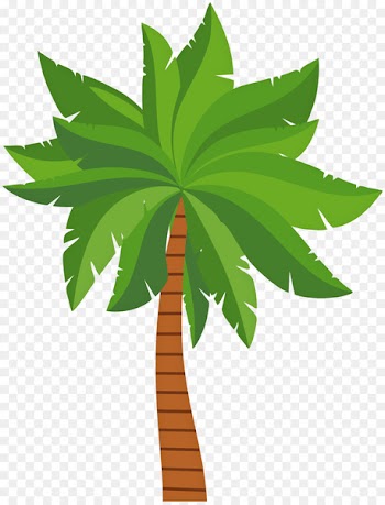 Palm trees Clip art Portable Network Graphics Image Hyophorbe lagenicaulis - palm tree png 