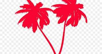 Palm trees Clip art Portable Network Graphics Sabal Palm Scalable Vector Graphics -  