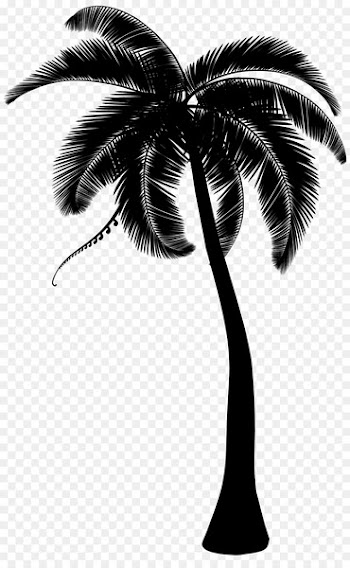 Palm trees Coconut Clip art Portable Network Graphics -  
