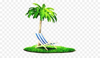 Palm Trees, Flowerpot, Houseplant, Green, Tree PNG