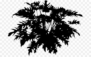 Palm trees Houseplant Desktop Wallpaper Computer Silhouette -  
