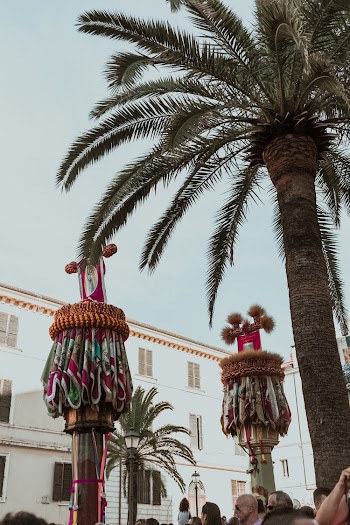 Palm Trees in Front of a Building