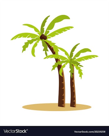 Palm trees isolated on white background vector image