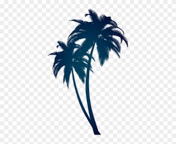 Palm Trees Minimalist