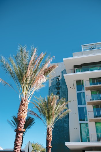Palm Trees Near High-rise Building