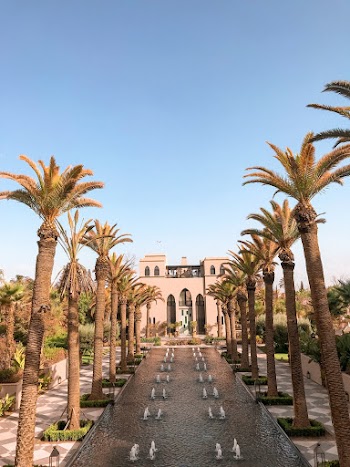 Palm Trees Near Outdoor Fountain