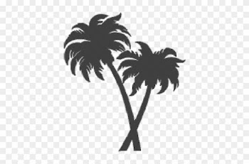 Palm Trees - Palm Tree Icon Transparent