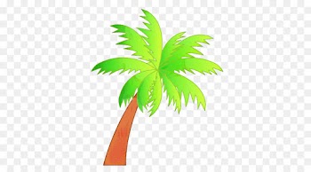 Palm Trees, Plant Stem, Plants, Leaf, Plant PNG