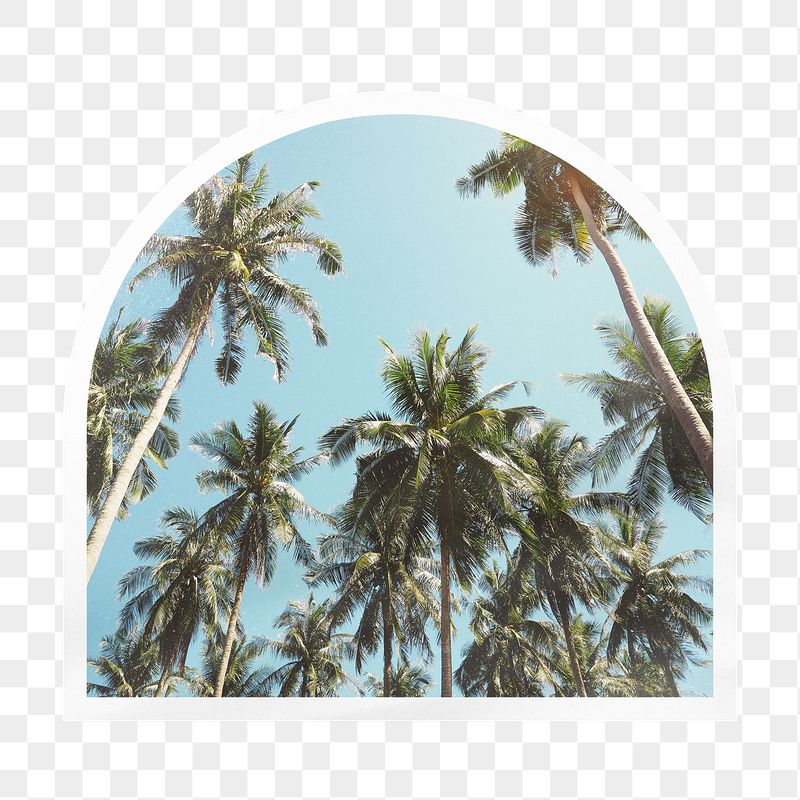 Palm trees png arc badge | Free PNG - rawpixel