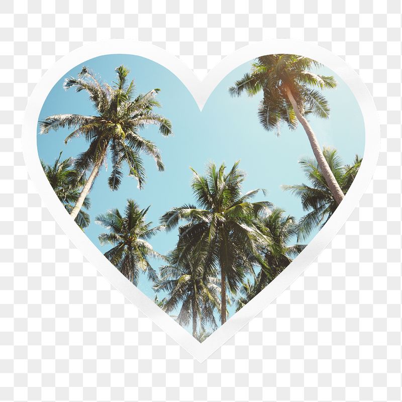 Palm trees png heart badge | Free PNG - rawpixel