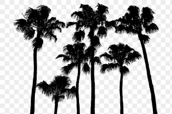 Palm trees png nature silhouette, | Free PNG - rawpixel