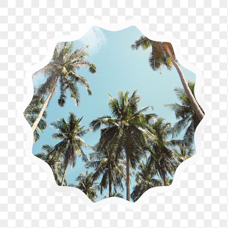 Palm trees png starburst badge | Free PNG - rawpixel
