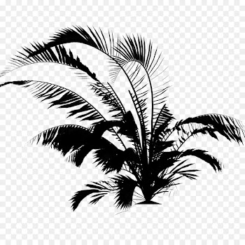 Palm trees Restaurant Facebook, Inc. Bar -  