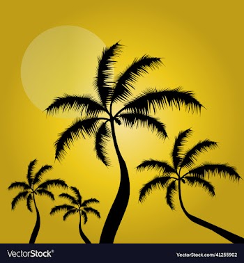 palm trees silhouette along the beach