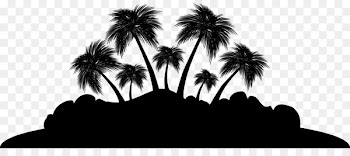 Palm trees Silhouette Sky -  