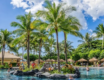 Palm Trees Surrounded by Body of Water