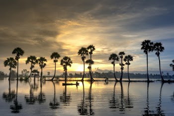 Palm Trees Under Orange Sky at Sunset