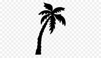 Palm trees Vector graphics Silhouette Drawing Illustration -  