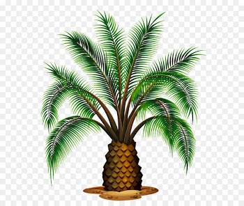 Palm wine Washingtonia filifera Washingtonia robusta Palm trees - Small Palm Tree Transparent Picture 