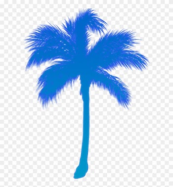 Palmera Azul By Andrearojas - Palm Trees
