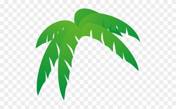 Palmera De Hojas Ilustración Vectorial - Palm Tree Leaves Clip Art