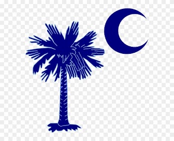 Palmetto Tree And Crescent Moon