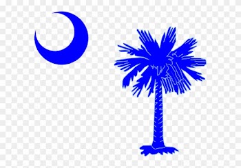 Palmetto Tree And Crescent Moon
