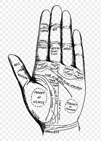 Palmistry chart hand png sticker | Free PNG - rawpixel