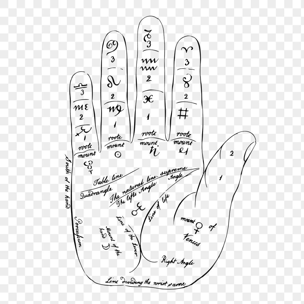 Palmistry hand png sticker, fortune-telling | Free PNG - rawpixel