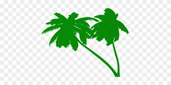 Palms, Coconut Tree, Coconut Palms - Green Palm Tree Vector