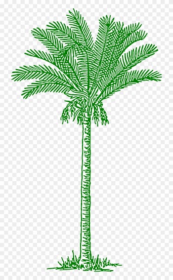 Palmtree Leaves Beach Tropical Png Image - Lines Drawing Palm Tree