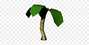Palmtree - Palm Trees