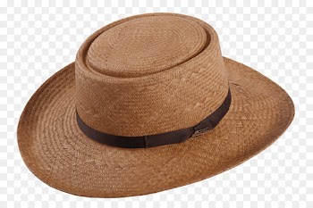 Panama hat Fedora Carludovica palmata Straw - hat 