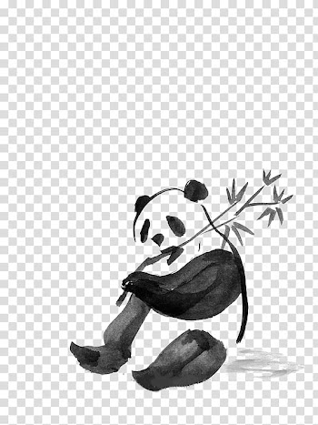 Panda eating bamboo sketch, Giant panda Field Book of Western Wild Flowers Ink wash painting Watercolor painting Drawing, Watercolor Panda transparent background PNG clipart