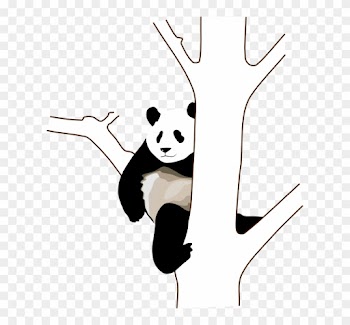 Panda On A Tree Clipart
